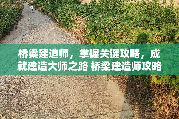 桥梁建造师，掌握关键攻略，成就建造大师之路 桥梁建造师攻略游戏
