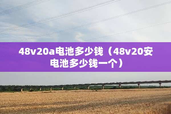 48v20a电池多少钱（48v20安电池多少钱一个）