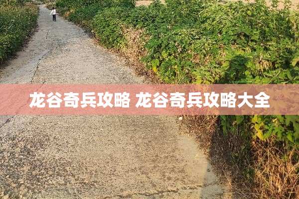 龙谷奇兵攻略 龙谷奇兵攻略大全