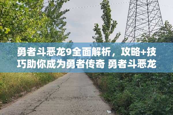 勇者斗恶龙9全面解析，攻略+技巧助你成为勇者传奇 勇者斗恶龙9图文攻略
