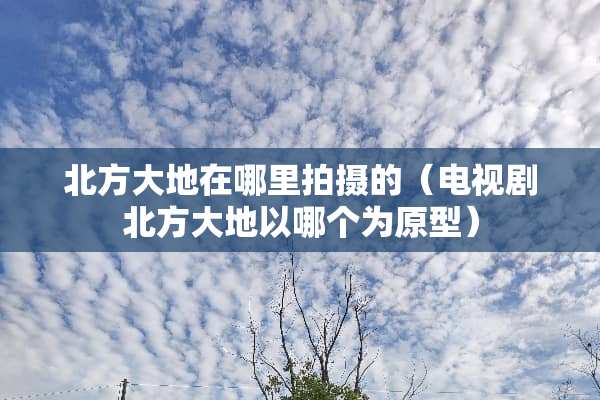 北方大地在哪里拍摄的（电视剧北方大地以哪个为原型）