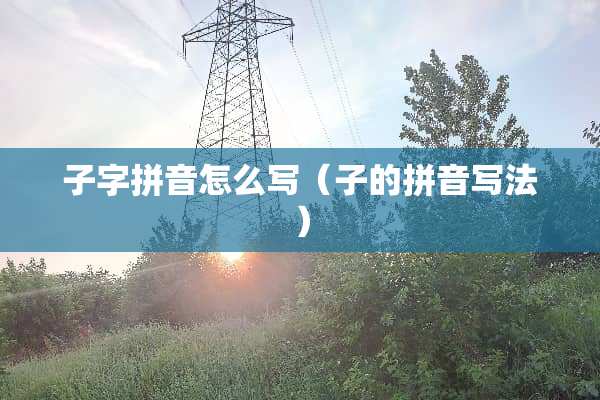 子字拼音怎么写（子的拼音写法）