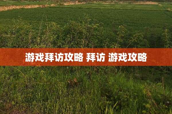 游戏拜访攻略 拜访 游戏攻略