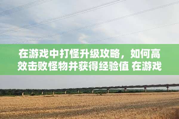 在游戏中打怪升级攻略，如何高效击败怪物并获得经验值 在游戏中打怪升级攻略