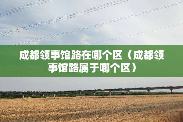 成都领事馆路在哪个区（成都领事馆路属于哪个区）