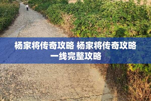 杨家将传奇攻略 杨家将传奇攻略一线完整攻略 杨家将传奇攻略 杨家将传奇攻略一线完整攻略