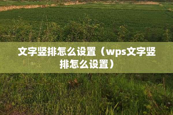 文字竖排怎么设置（wps文字竖排怎么设置）