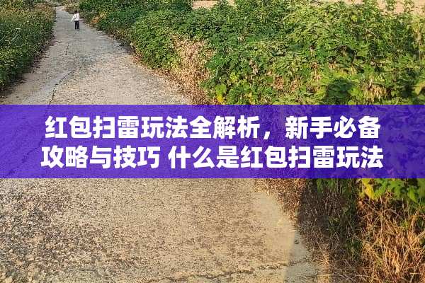 红包扫雷玩法全解析，新手必备攻略与技巧 什么是红包扫雷玩法
