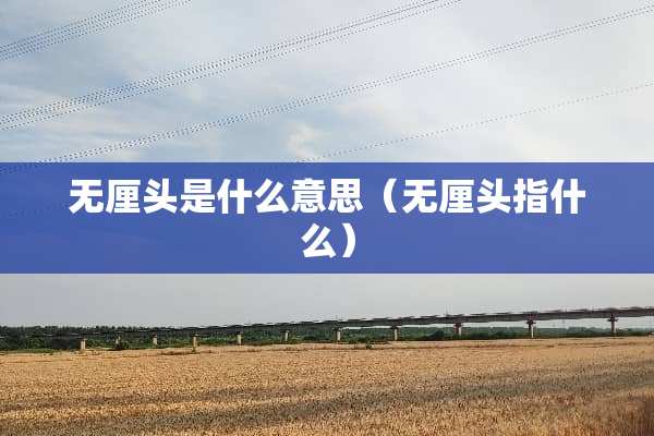 无厘头是什么意思（无厘头指什么）
