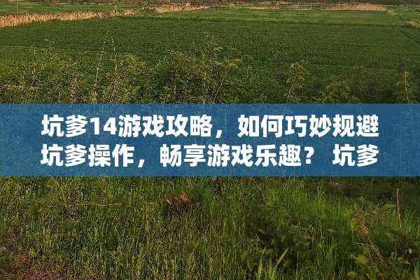 坑爹14游戏攻略，如何巧妙规避坑爹操作，畅享游戏乐趣？ 坑爹14游戏攻略