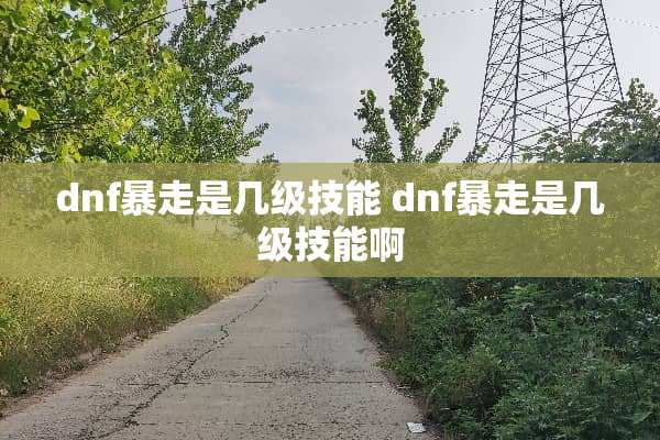 dnf暴走是几级技能 dnf暴走是几级技能啊