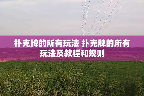 **牌的所有玩法**牌的所有玩法及教程和规则