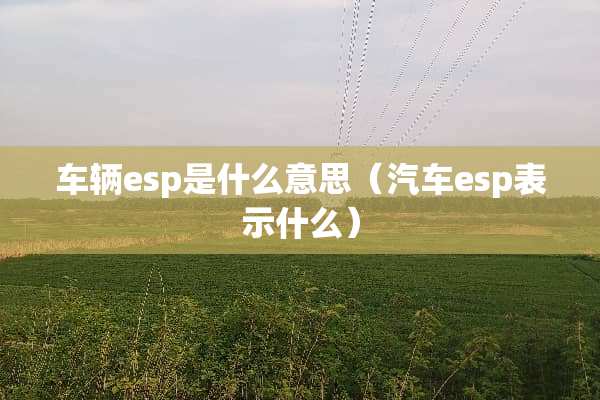 车辆esp是什么意思（汽车esp表示什么）