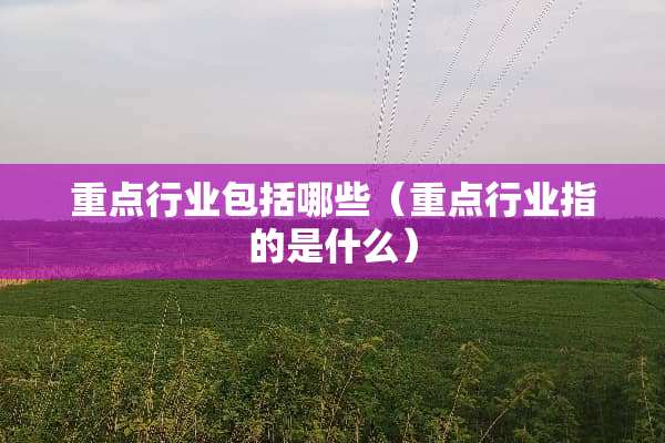 重点行业包括哪些（重点行业指的是什么）