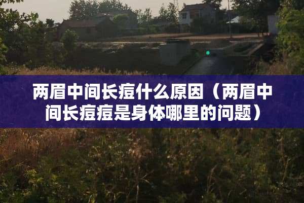 两眉中间长痘什么原因（两眉中间长痘痘是身体哪里的问题）