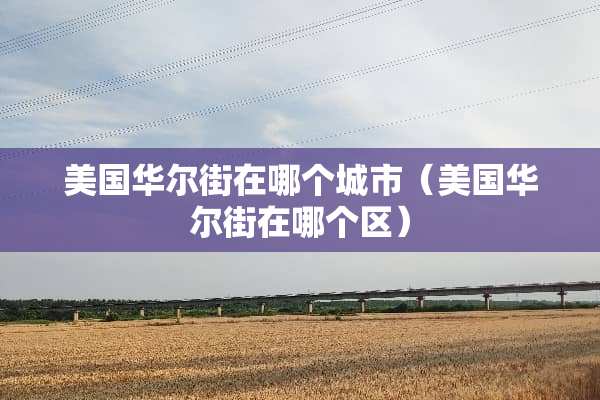 美国华尔街在哪个城市（美国华尔街在哪个区）