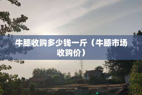 牛膝收购多少钱一斤（牛膝市场收购价）