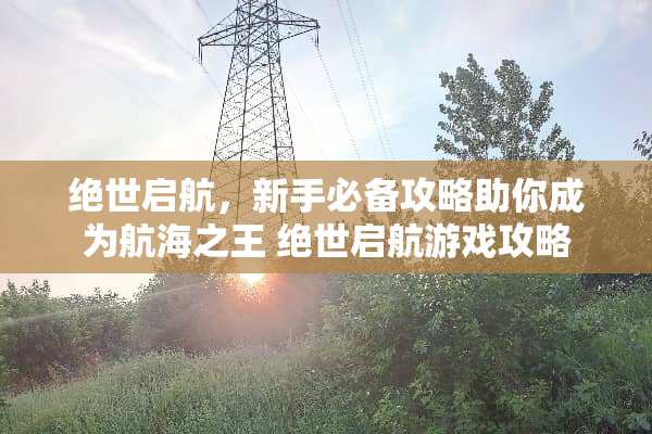 绝世启航，新手必备攻略助你成为航海之王 绝世启航游戏攻略