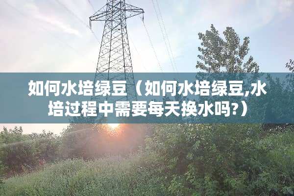 如何水培绿豆（如何水培绿豆,水培过程中需要每天换水吗?）
