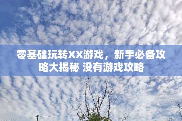 零基础玩转XX游戏，新手必备攻略大揭秘 没有游戏攻略