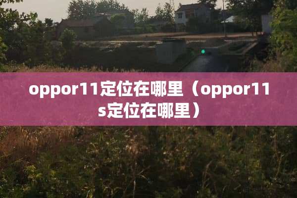 oppor11定位在哪里（oppor11s定位在哪里）