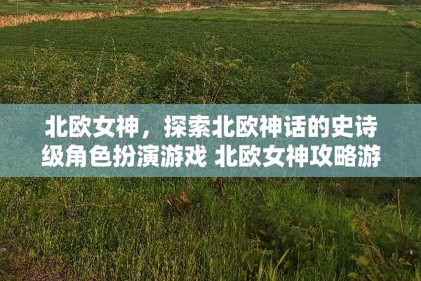 北欧女神，探索北欧神话的史诗级角色扮演游戏 北欧女神攻略游戏推荐