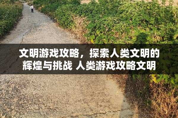 文明游戏攻略，探索人类文明的辉煌与挑战 人类游戏攻略文明