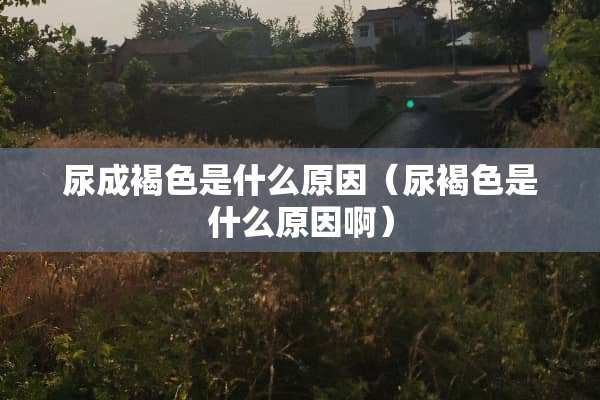 尿成褐色是什么原因（尿褐色是什么原因啊）