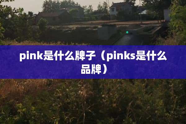 pink是什么牌子（pinks是什么品牌）