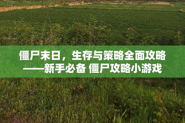 僵尸末日，生存与策略全面攻略——新手必备 僵尸攻略小游戏