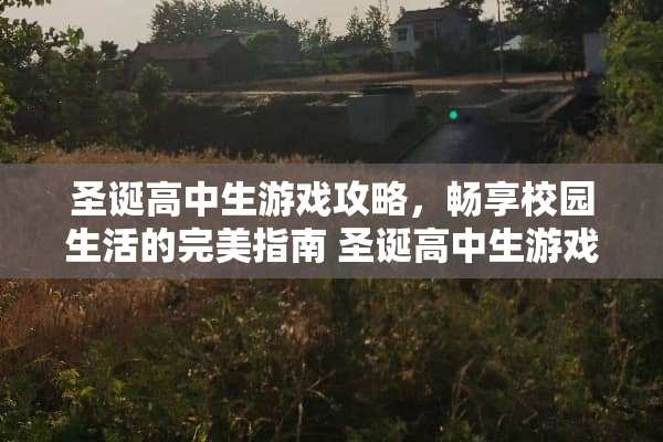 圣诞高中生游戏攻略，畅享校园生活的完美指南 圣诞高中生游戏攻略