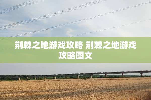 荆棘之地游戏攻略 荆棘之地游戏攻略图文