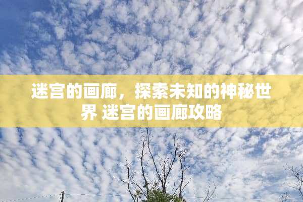 迷宫的画廊，探索未知的神秘世界 迷宫的画廊攻略