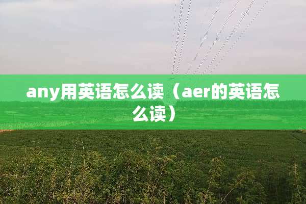 any用英语怎么读（aer的英语怎么读）