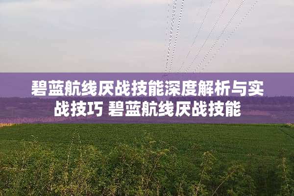 碧蓝航线厌战技能深度解析与实战技巧 碧蓝航线厌战技能