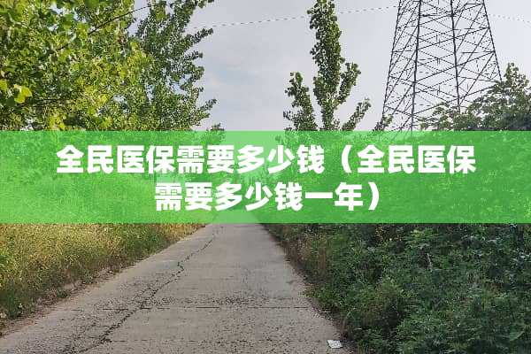 全民医保需要多少钱（全民医保需要多少钱一年）