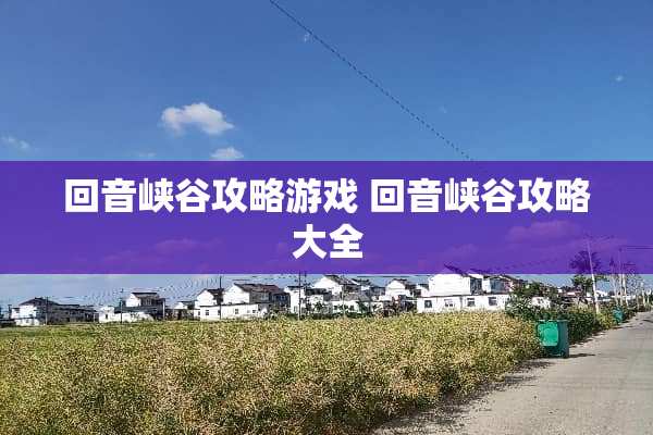 回音峡谷攻略游戏 回音峡谷攻略大全
