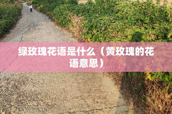 绿玫瑰花语是什么（黄玫瑰的花语意思）