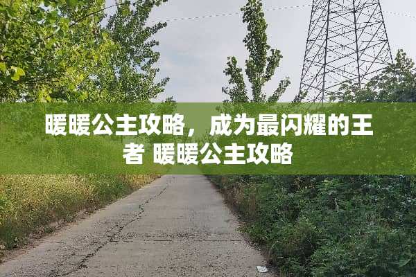 暖暖公主攻略，成为最闪耀的王者 暖暖公主攻略