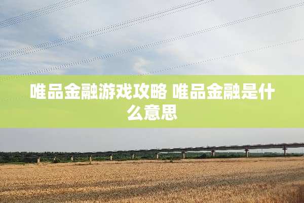 唯品金融游戏攻略 唯品金融是什么意思