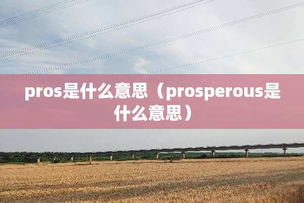 pros是什么意思（prosperous是什么意思）