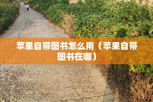 苹果自带图书怎么用（苹果自带图书在哪）