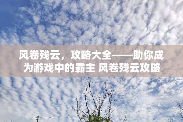 风卷残云，攻略大全——助你成为游戏中的霸主 风卷残云攻略