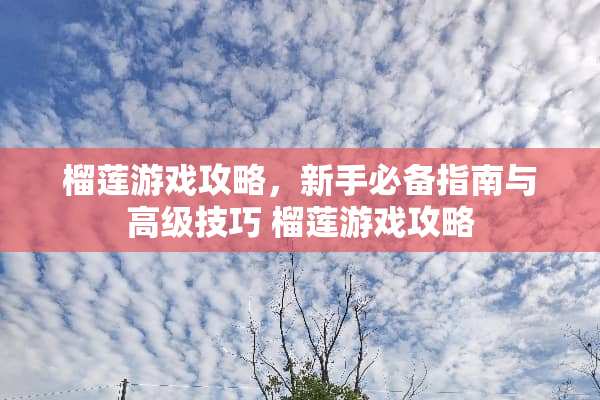 榴莲游戏攻略，新手必备指南与高级技巧 榴莲游戏攻略