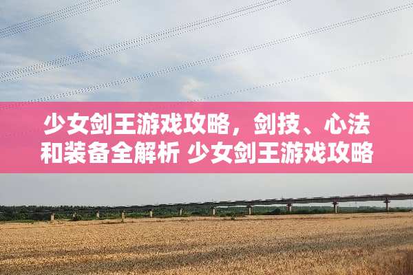 少女剑王游戏攻略,剑技、心法和装备全解析 少女剑王游戏攻略 少女剑王游戏攻略,剑技、心法和装备全解析 少女剑王游戏攻略