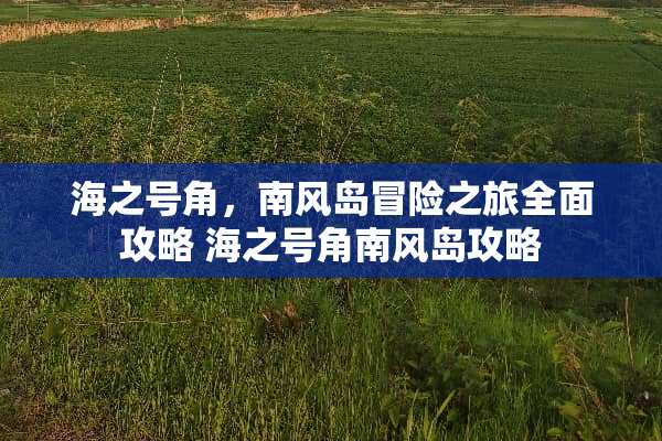 海之号角,南风岛冒险之旅全面攻略 海之号角南风岛攻略 海之号角,南风岛冒险之旅全面攻略 海之号角南风岛攻略