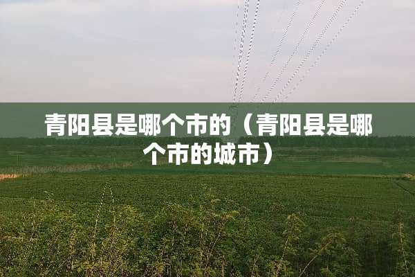 青阳县是哪个市的（青阳县是哪个市的城市）
