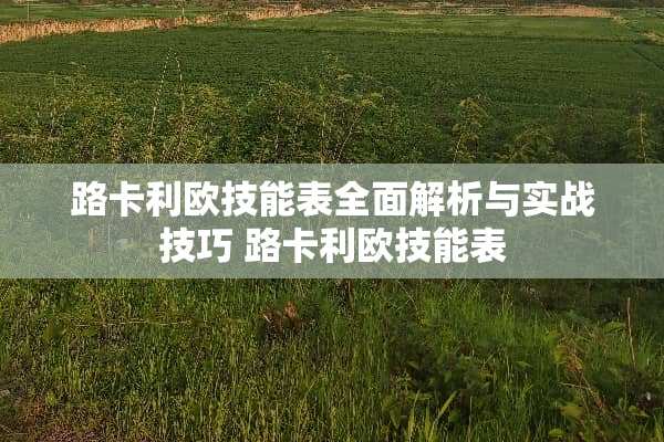 路卡利欧技能表全面解析与实战技巧 路卡利欧技能表