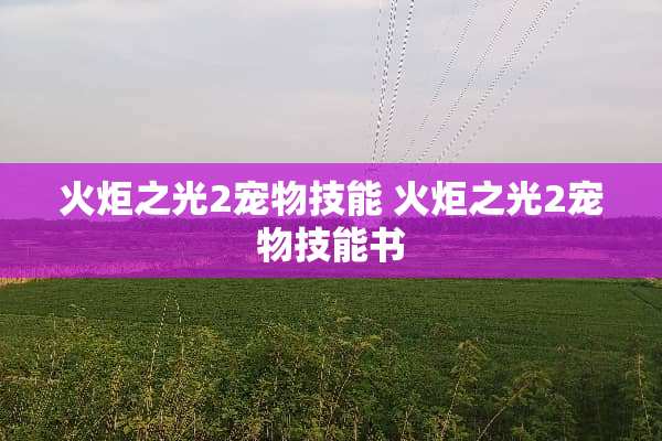 火炬之光2宠物技能 火炬之光2宠物技能书