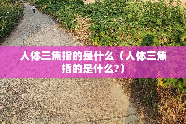 人体三焦指的是什么（人体三焦指的是什么?）